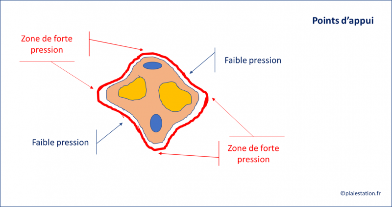 Fichier:Veine22.png