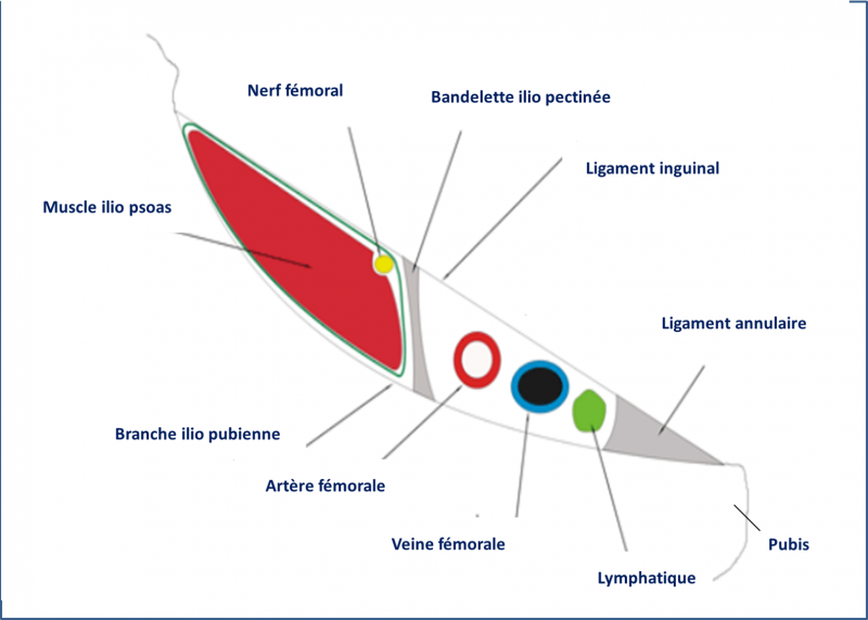 Fichier:Trigone2.png