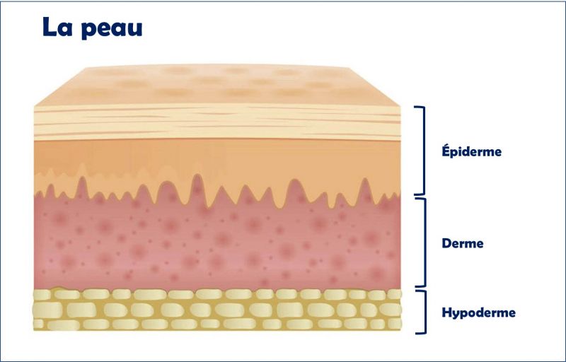 Fichier:Image2.jpg