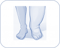 OMI.png