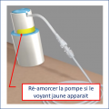 Vignette pour la version du 1 mai 2020 à 08:05