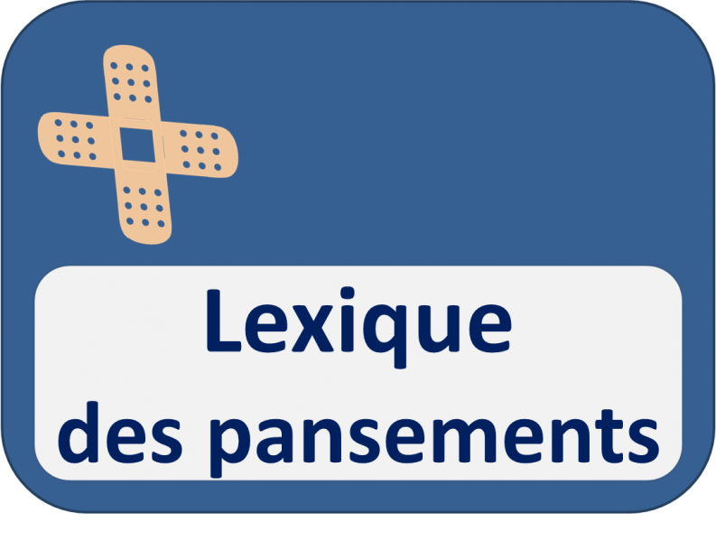 Fichier:Lexique des pansements.png