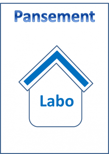 Fichier:Psmt labo.png
