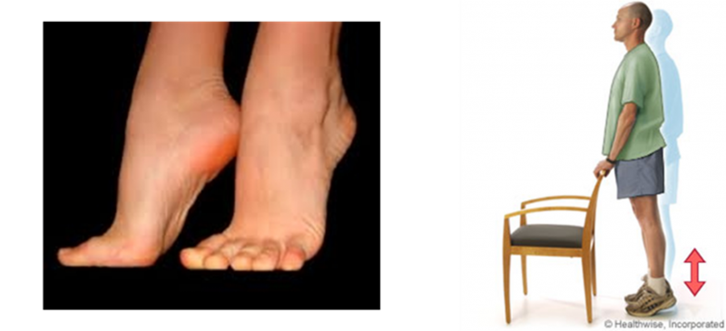 Fichier:OMI9.png