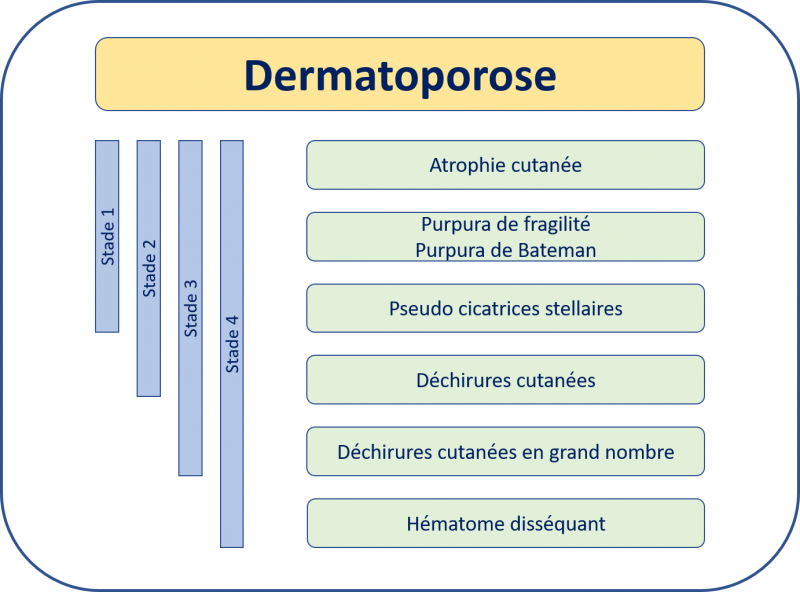 Fichier:Dermatoporose - Clinique.png