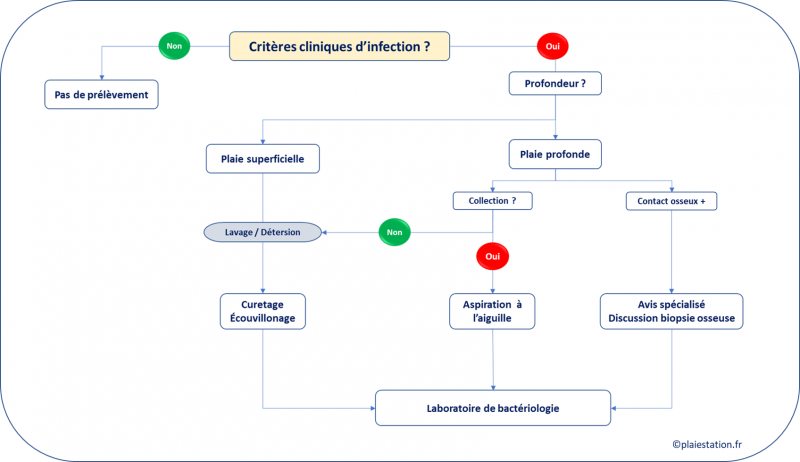 Fichier:Infection8.png
