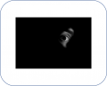 Noir8.png