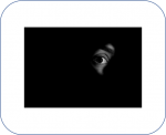 Noir8.png