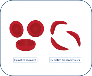 Drépano.png