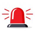 Vignette pour la version du 17 février 2025 à 08:59