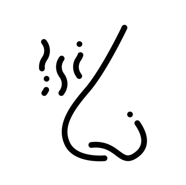 Fichier:Odeur.png