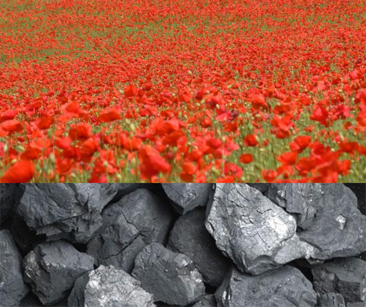 Fichier:NR.png