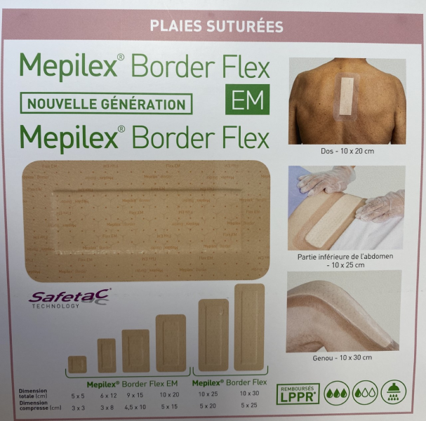 Fichier:Flex4.png