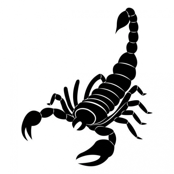Fichier:Scorpion.png