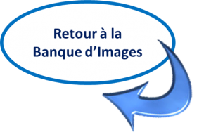 Retour.png
