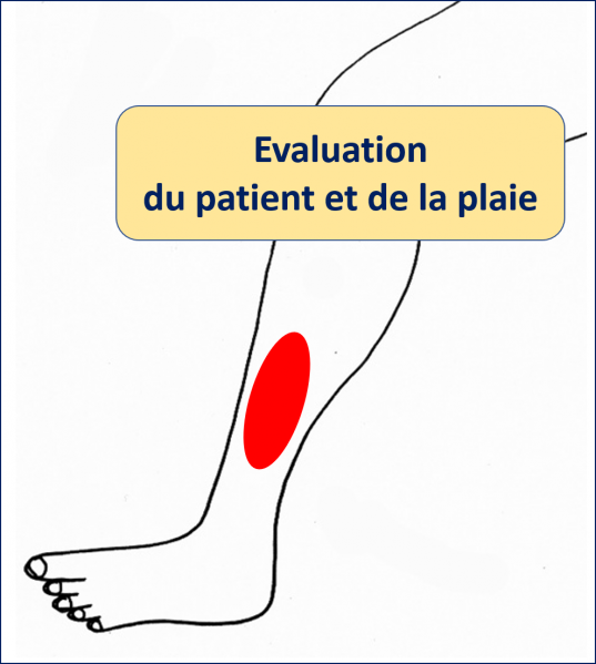 Fichier:Evaluation.png