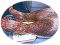 Banque d'images.png