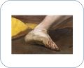 Pied3.jpg