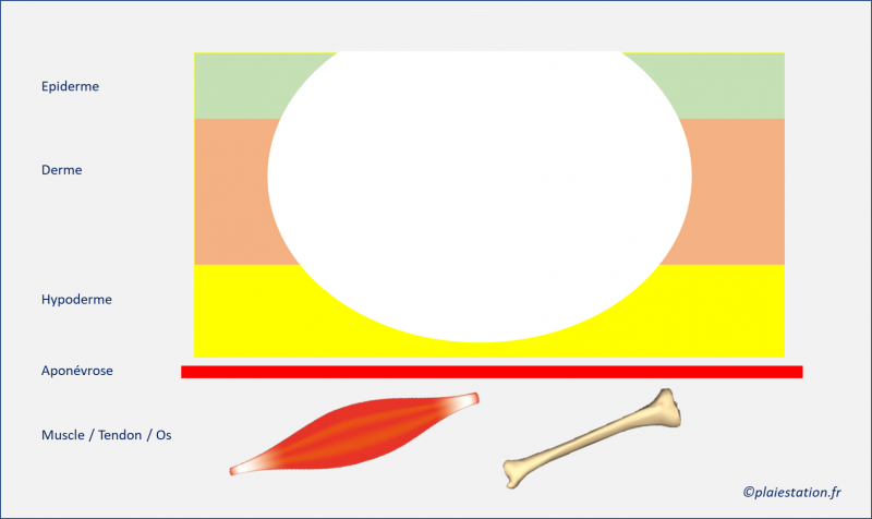 Fichier:Cav2.png