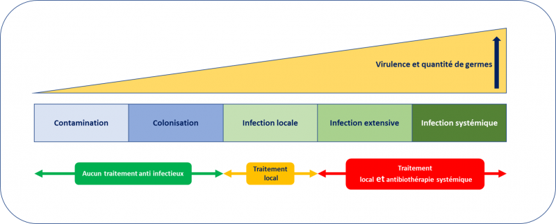 Fichier:Infection1.png